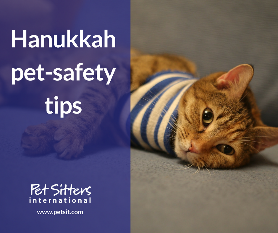 Hanukkah pet-safety tips from Pet Sitters International