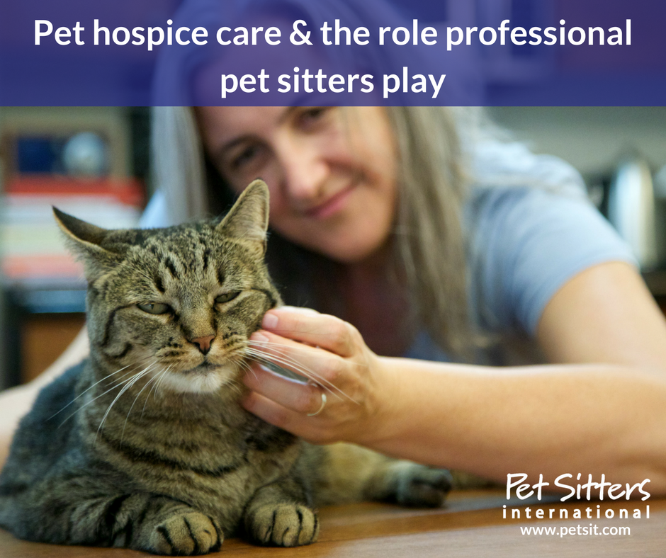 Pet hospice care and the role professional pet sitters play