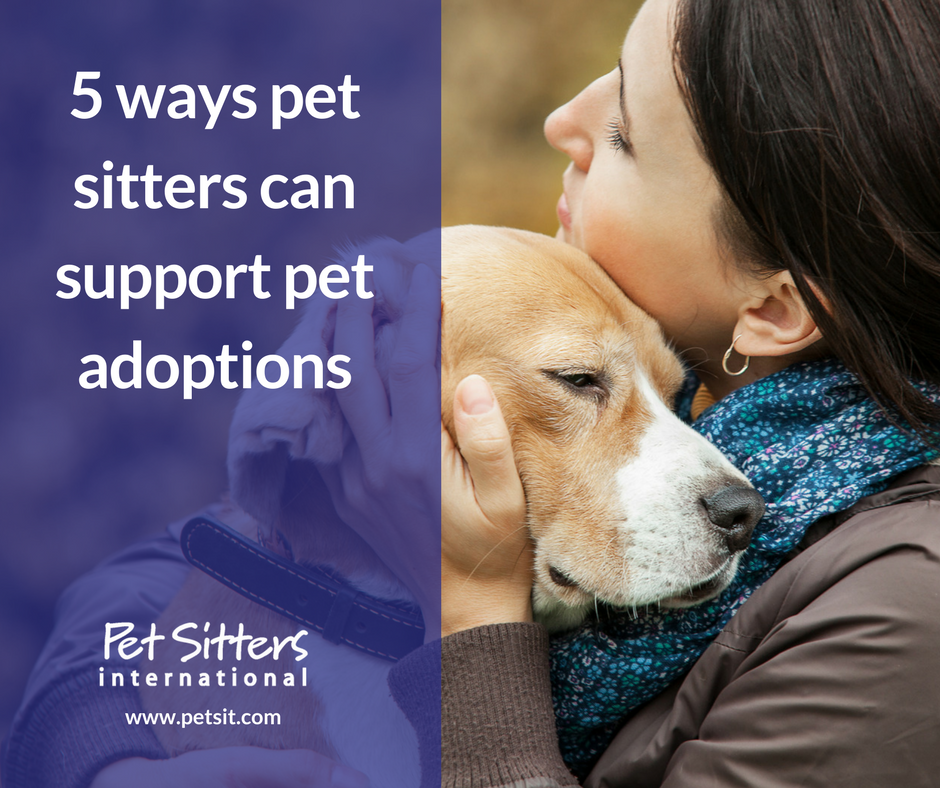 5 ways pet sitters can support pet adoptions