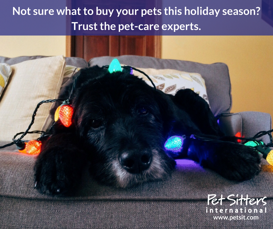 Not sure what to buy your pets this holiday season? Trust the pet-care experts.