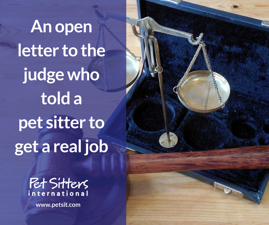 An open letter to the judge who told a pet sitter to get a real job