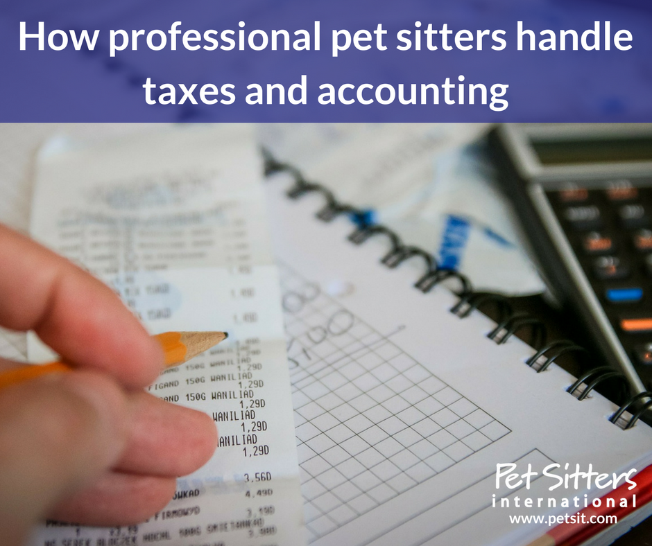 How professional pet sitters handle taxes and accounting