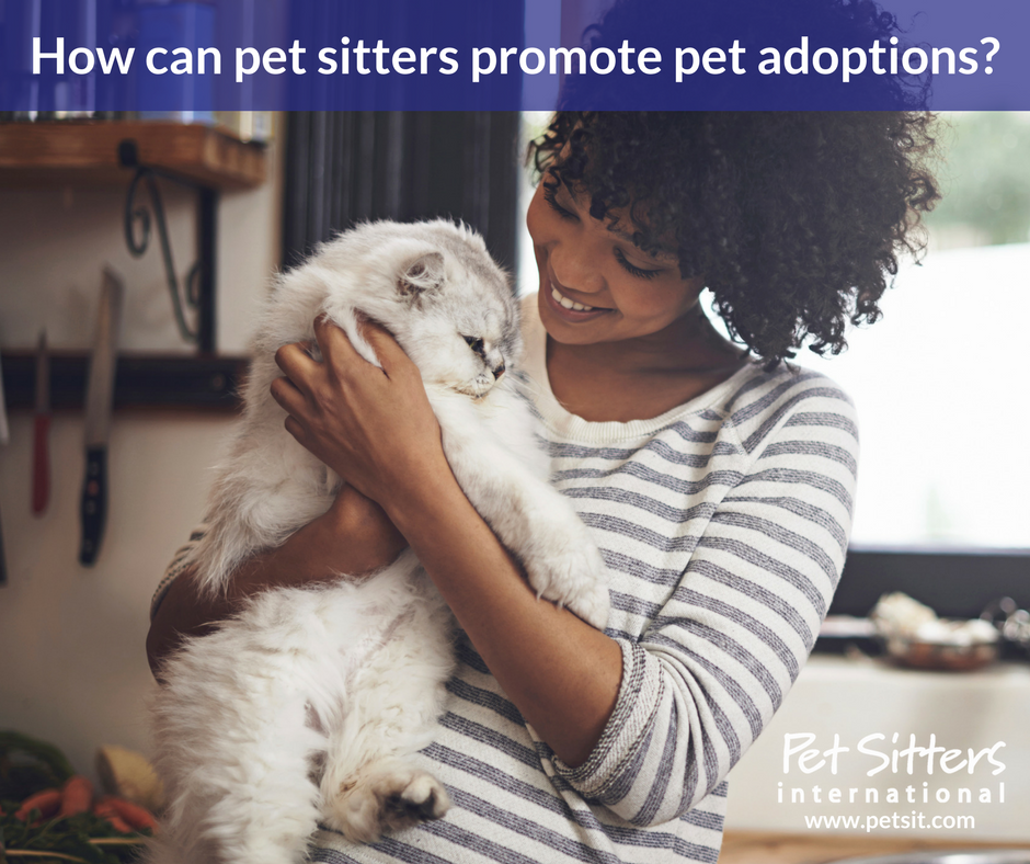 How can pet sitters promote pet adoptions?