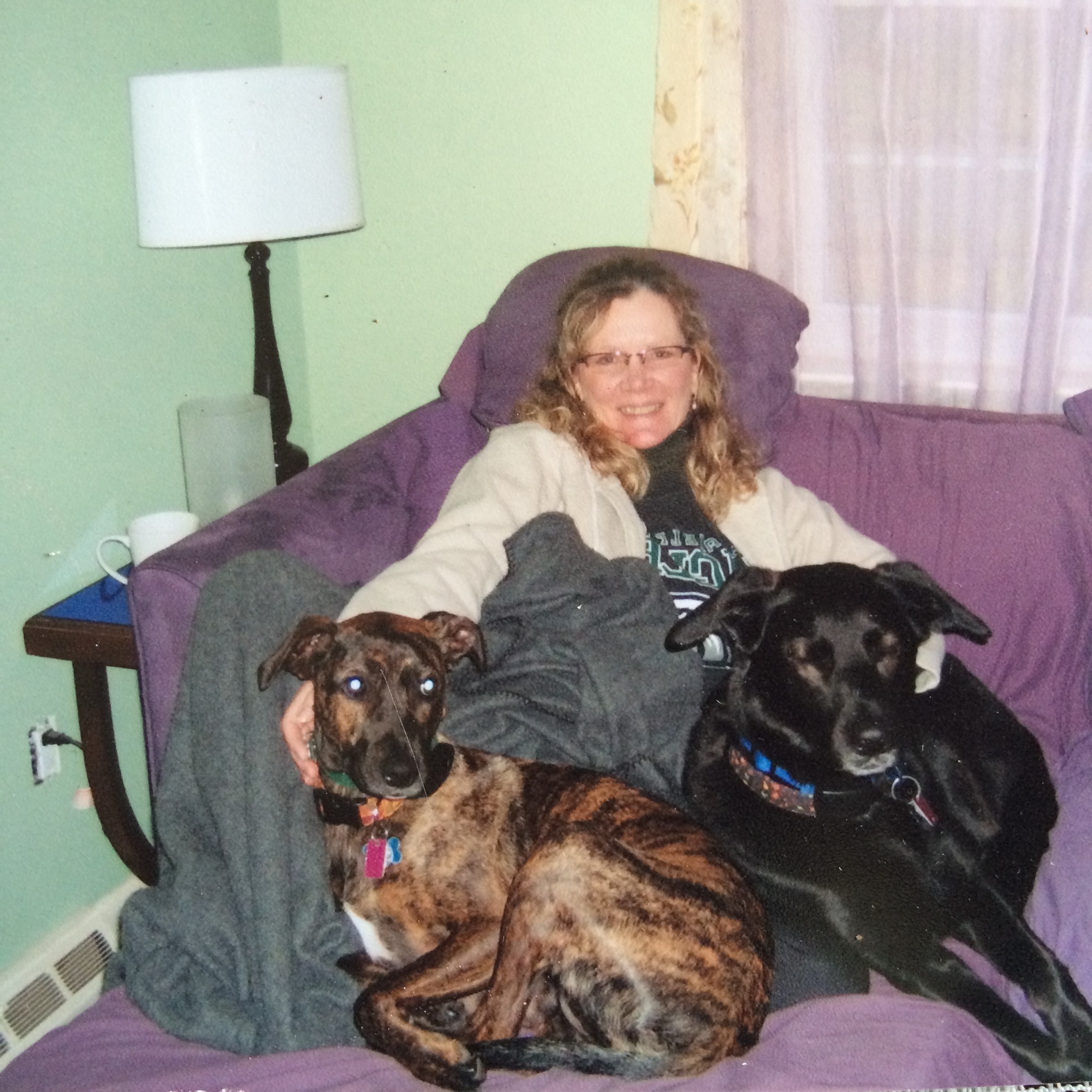 Jennifer's Neighborhood Pet Sitter/Dog Walker