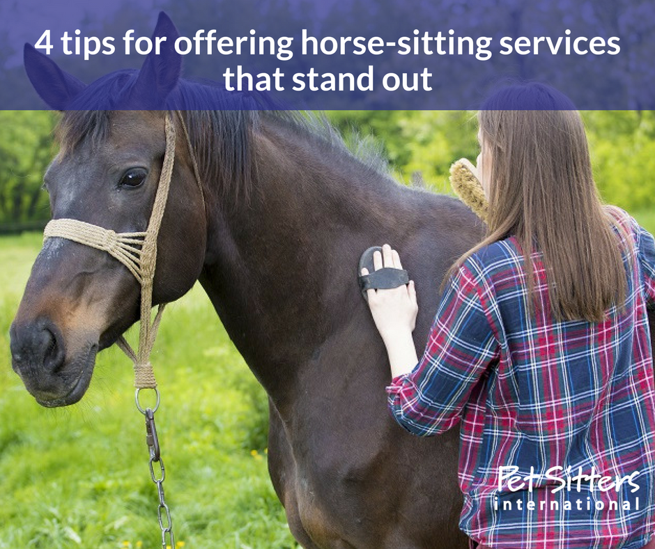 4 tips for offering horse-sitting services that stand out