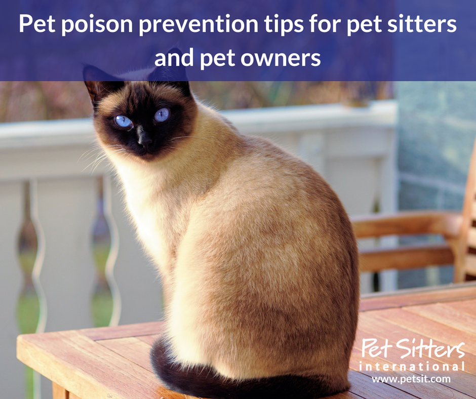 Pet poison prevention tips for pet sitters and pet owners