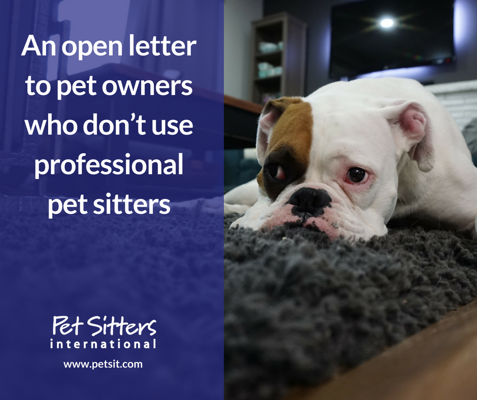 An open letter to pet owners who don’t use professional pet sitters