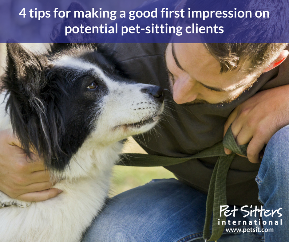 4 tips for making a good first impression on potential pet-sitting clients