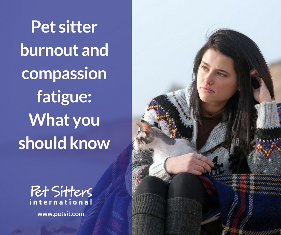 Pet sitter burnout and compassion fatigue: What you should know