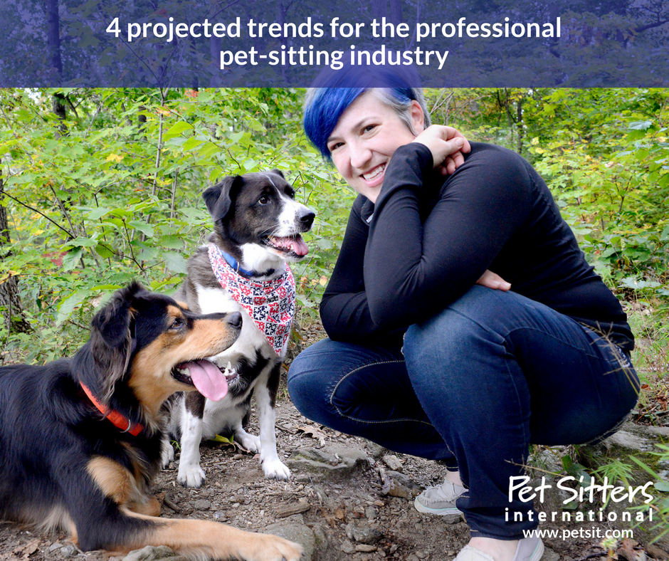 4 projected trends for the professional pet-sitting industry