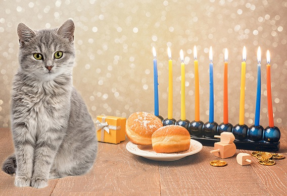 Pet Sitters International offers pet-safety tips for a healthy and happy Hanukkah