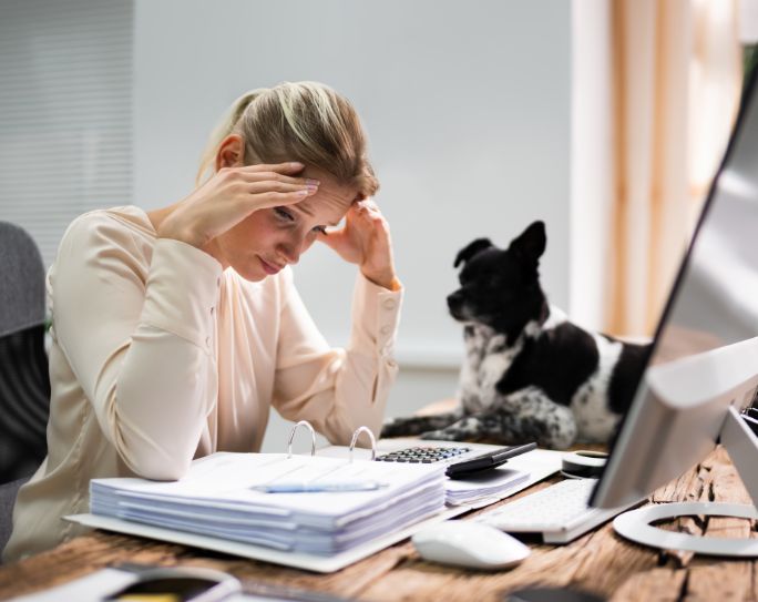 pet sitter with hands on head stressed out and looking at paperwork at desk. Dog is beside her.