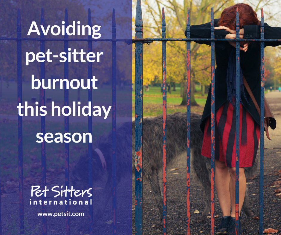 Avoiding pet-sitter burnout this holiday season