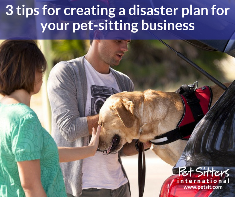 3 tips for creating a disaster plan for your pet-sitting business