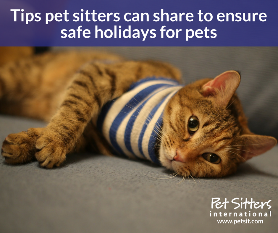 Tips pet sitters can share to ensure safe holidays for pets