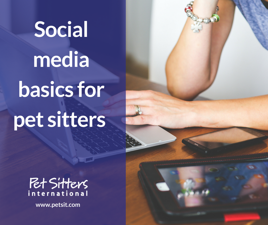 Social media basics for pet sitters 