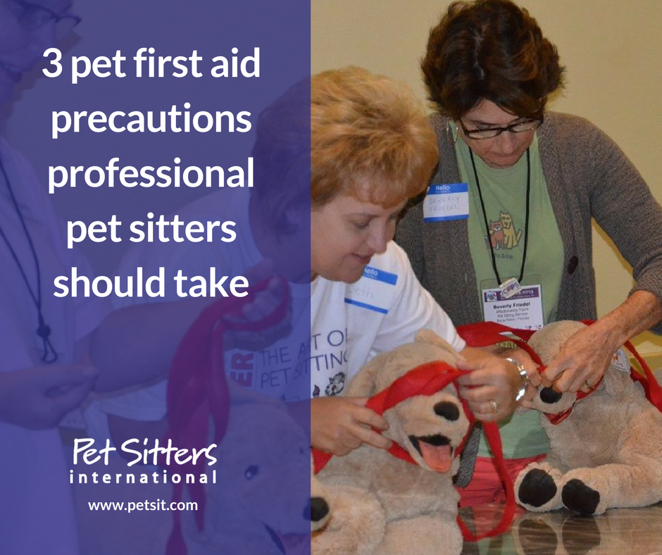 3 pet first aid precautions professional pet sitters should take