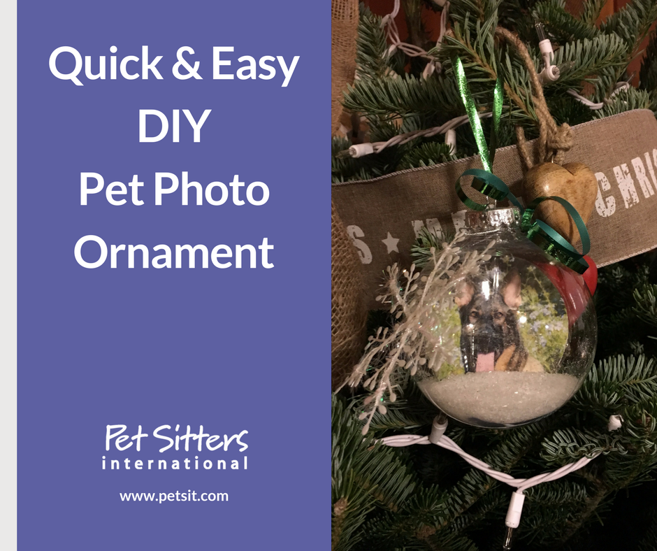 DIY pet photo ornament